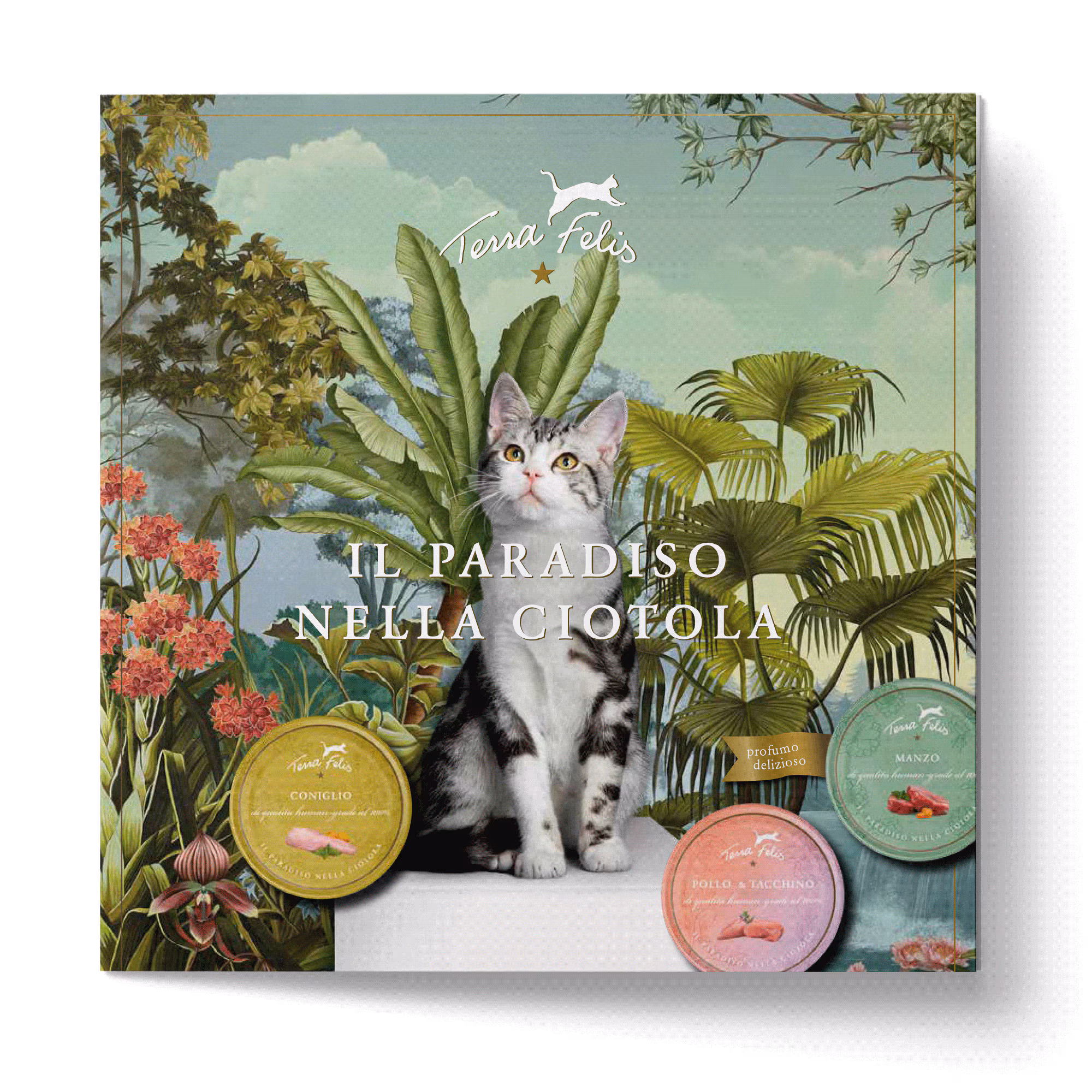 TF Paradise in a cat's bowl-Flyer, italian version
