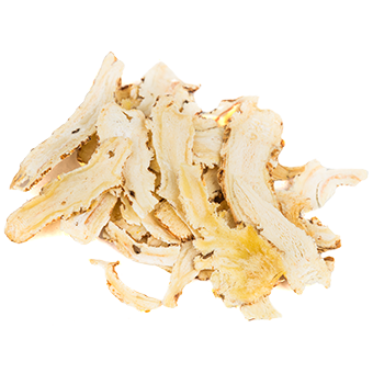 TerraCanis Ginseng TerraCanis Ginseng