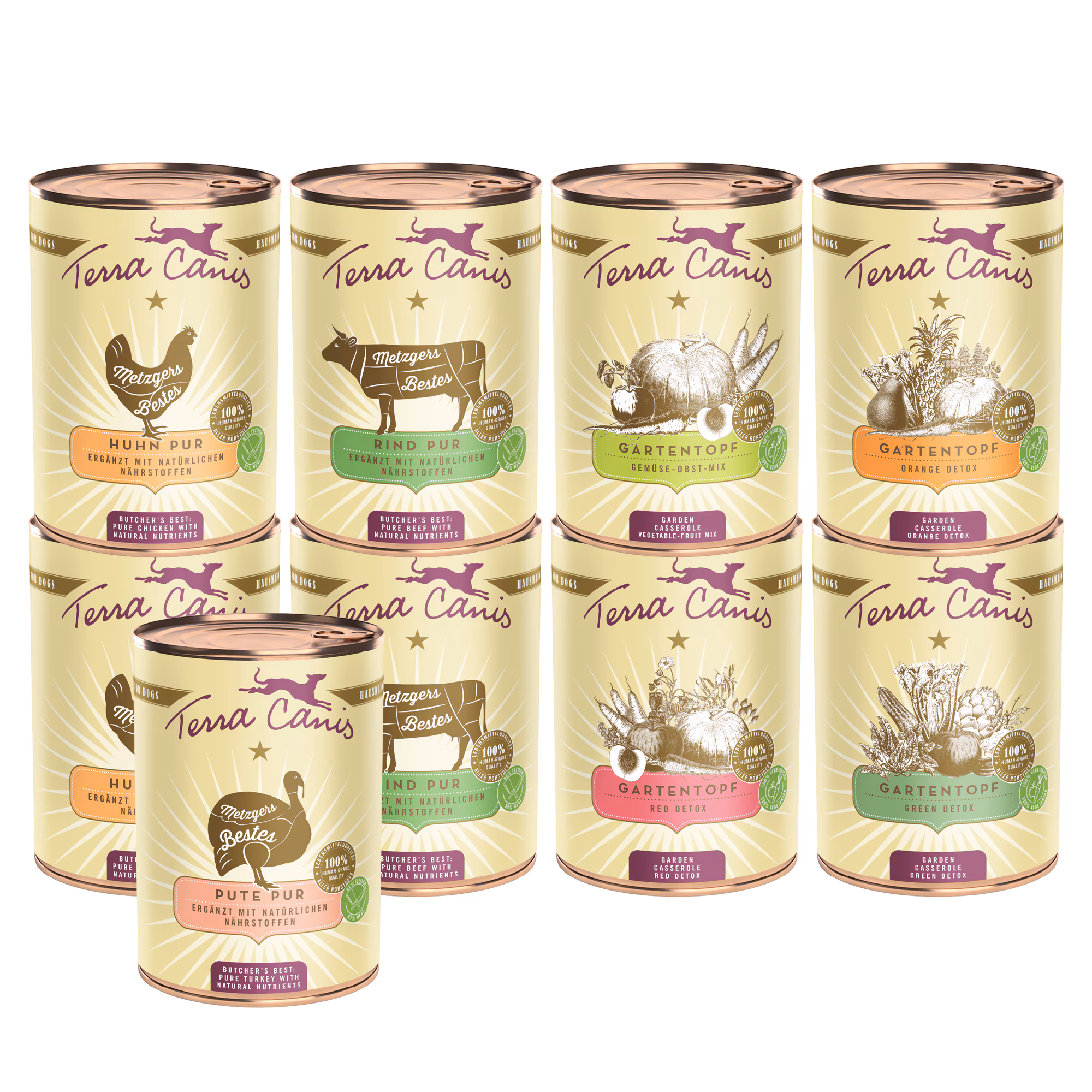 Introductory package L