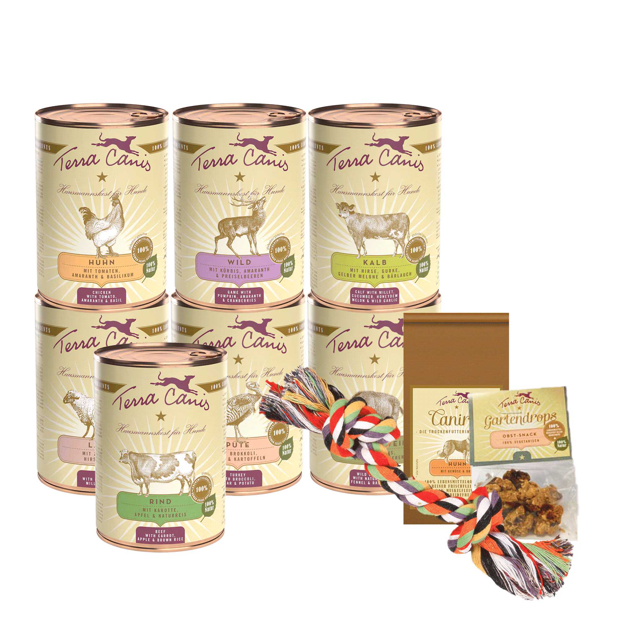 Introductory package M