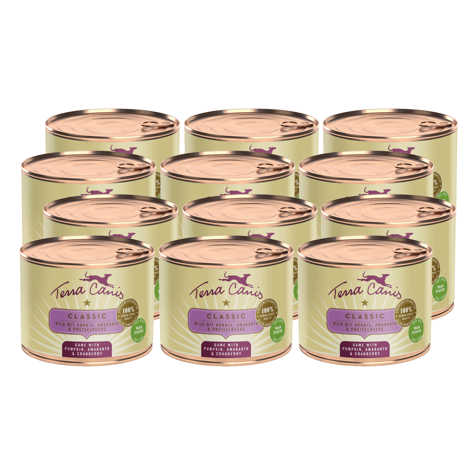 Wild mit Kürbis, Amaranth und Preiselbeere
