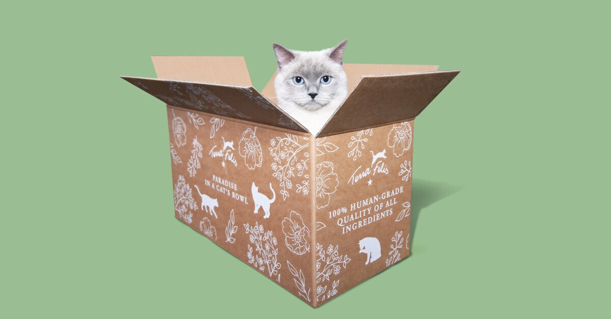 TF Content Karton 1200x627 2