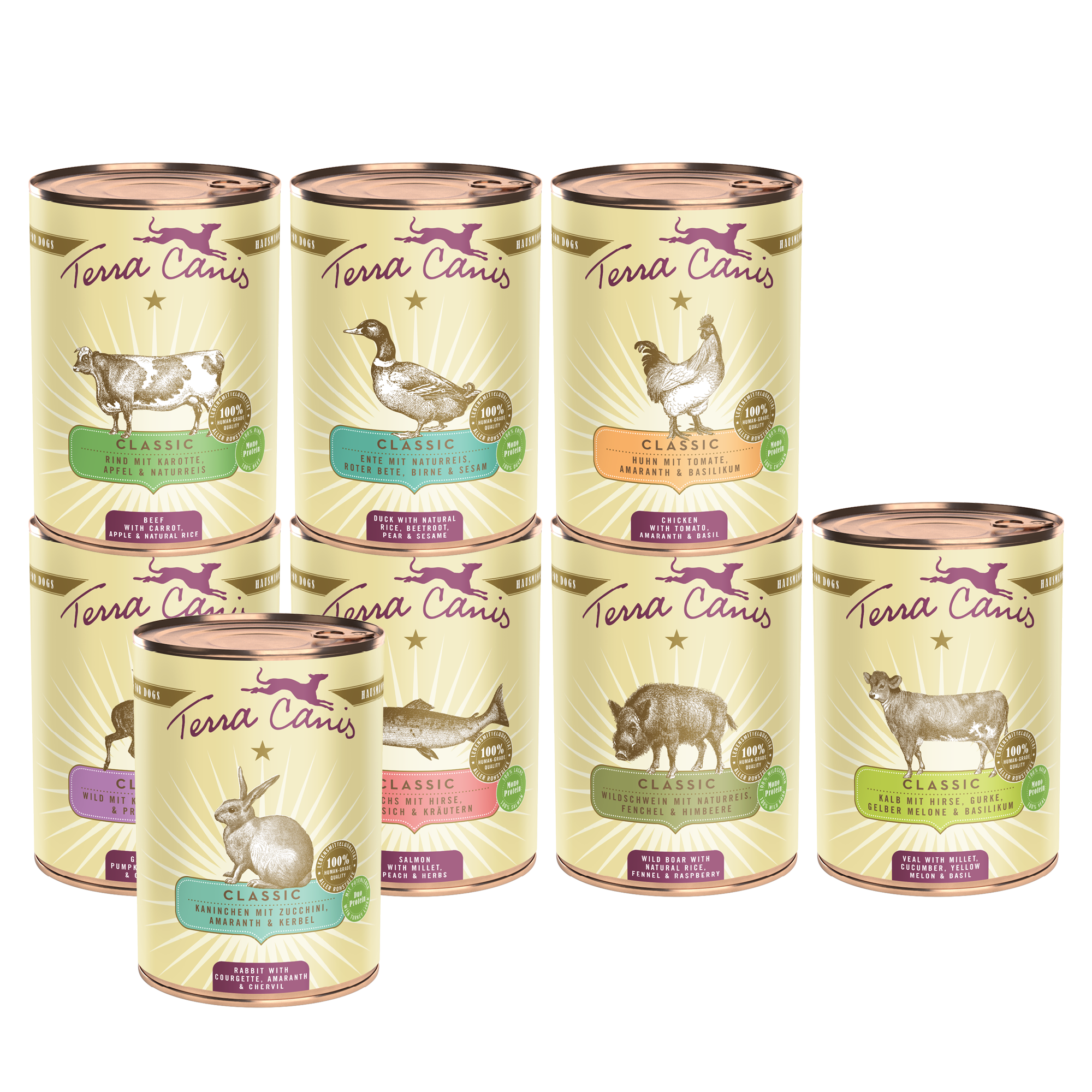 Pacchetto introduttivo L