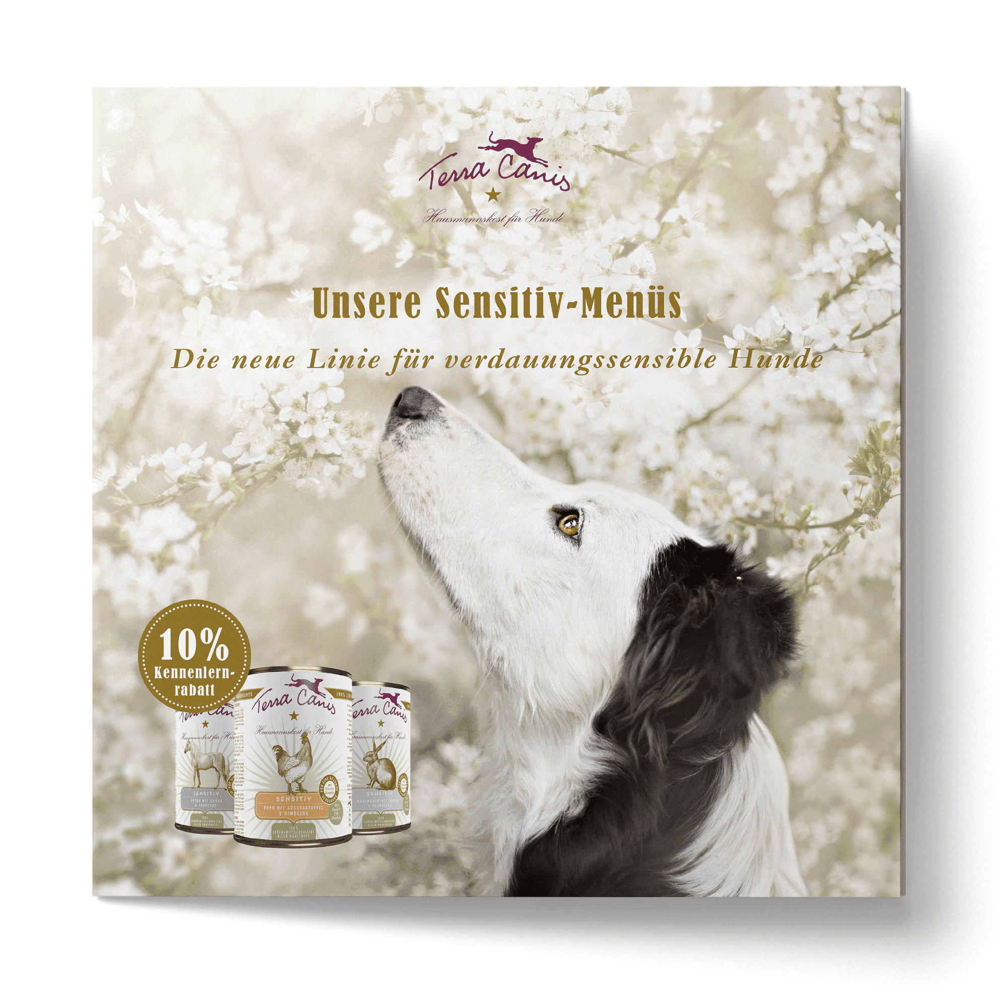 TC Sensitiv-Flyer