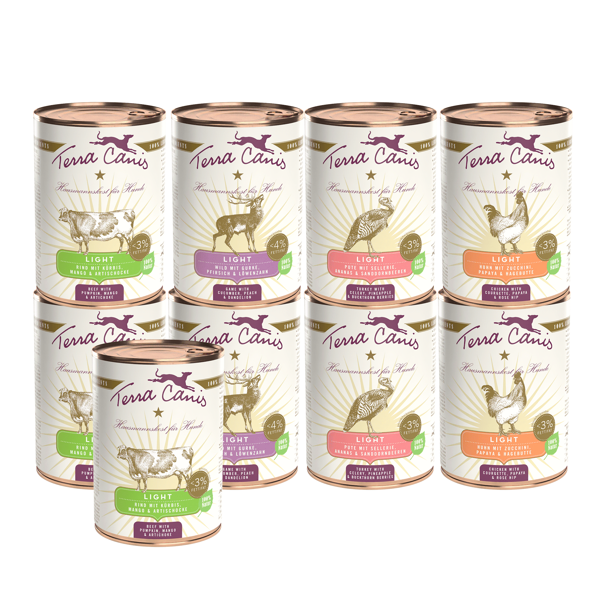 Kennenlernpaket L