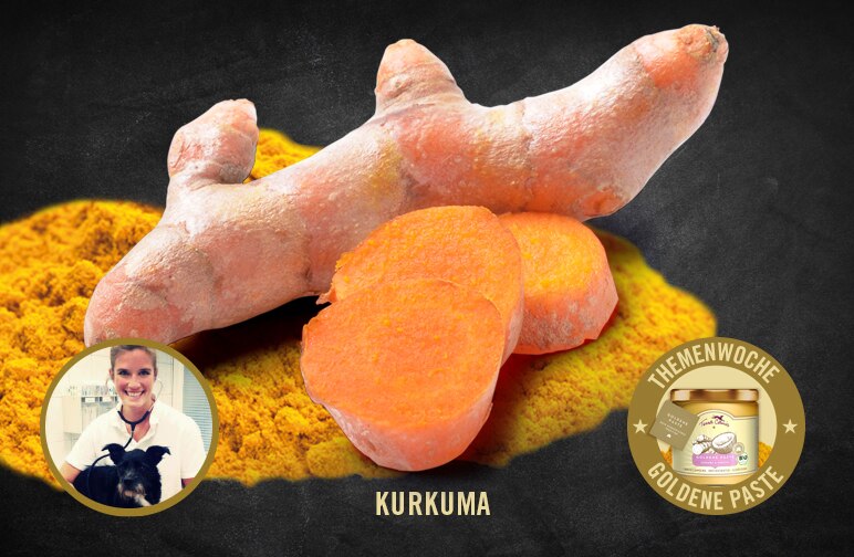 Kurkuma – Allheilmittel aus der indischen Gesundheitslehre