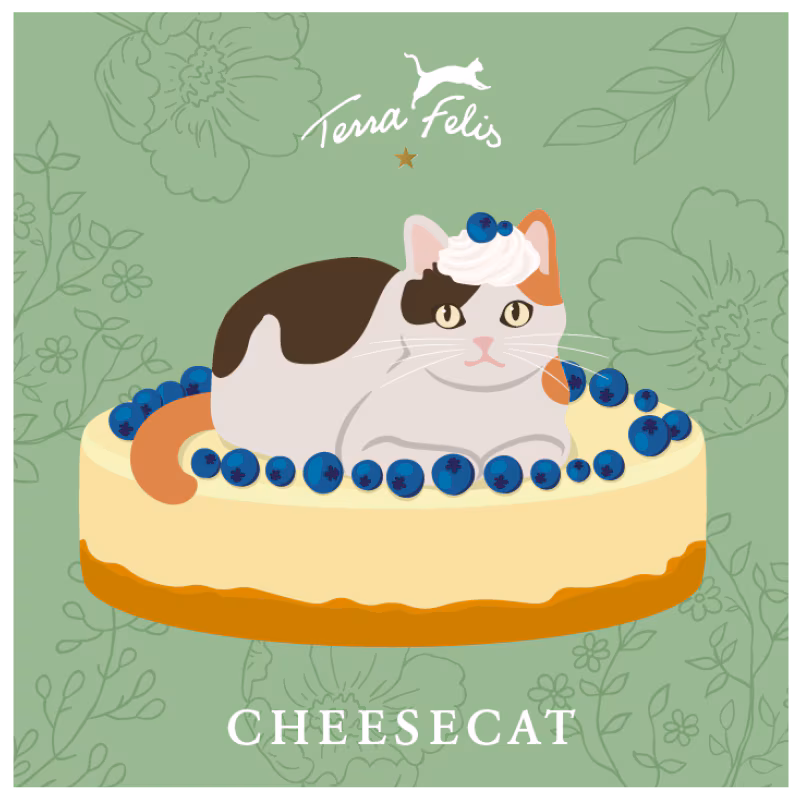 TF Magnet Cheesecat