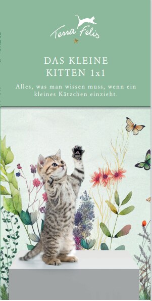 TF_Kitten 1x1 Broschüre_DIN hoch_ES