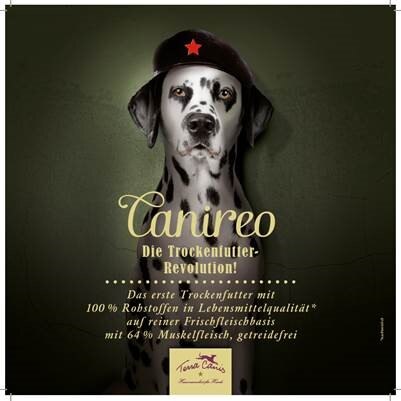 TC EN Flyer Canireo 21x21