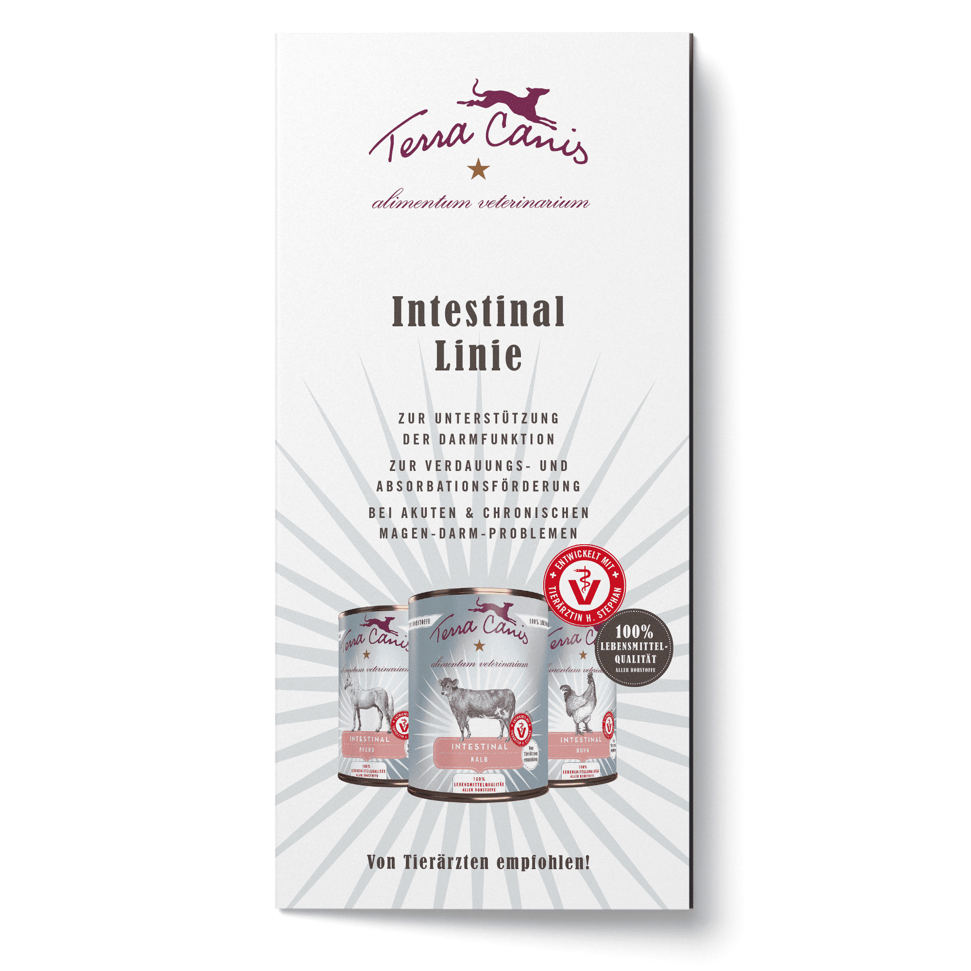 TC AliVet Flyer Intestinal 21x21