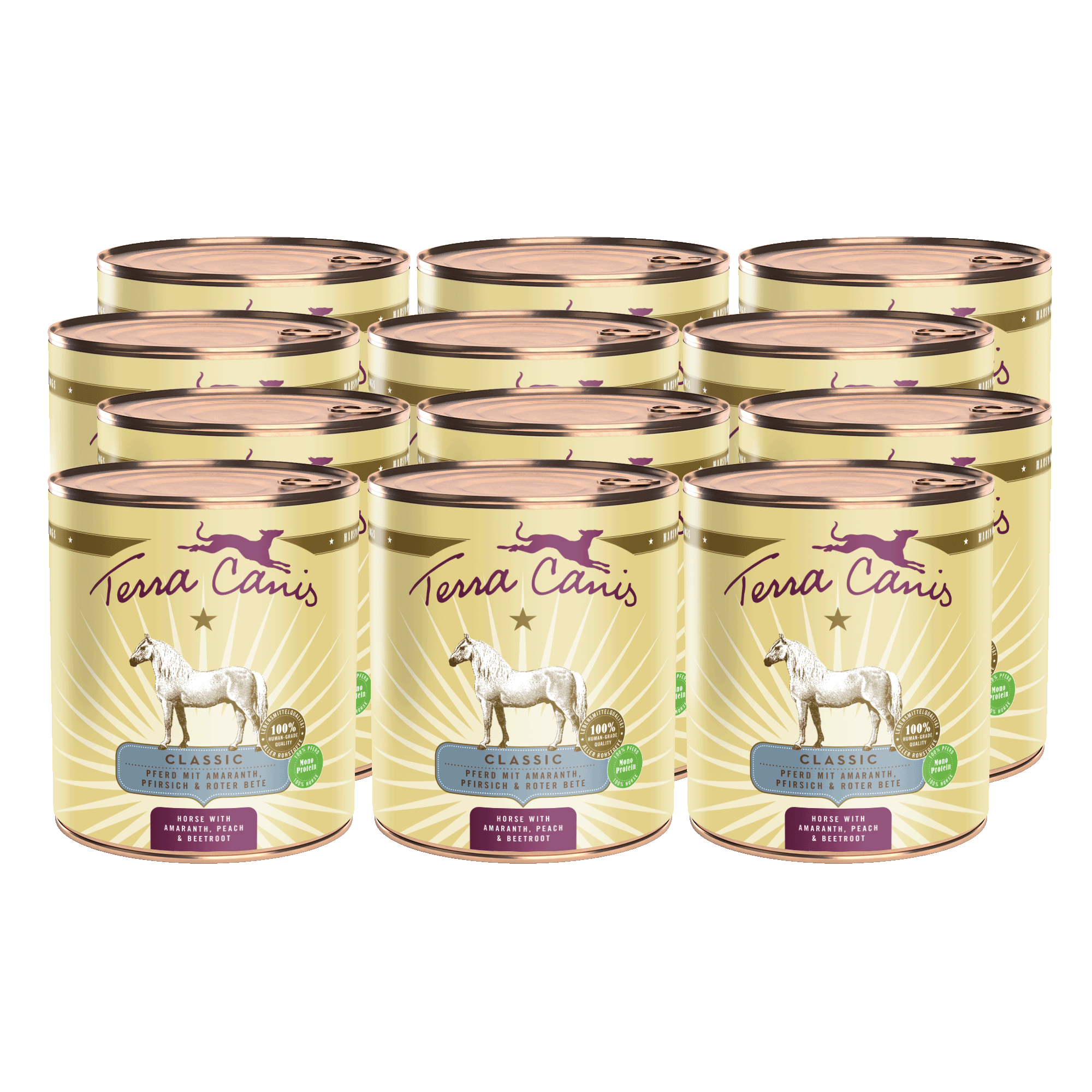 Pferd mit Amaranth, Pfirsich und Roter Bete 