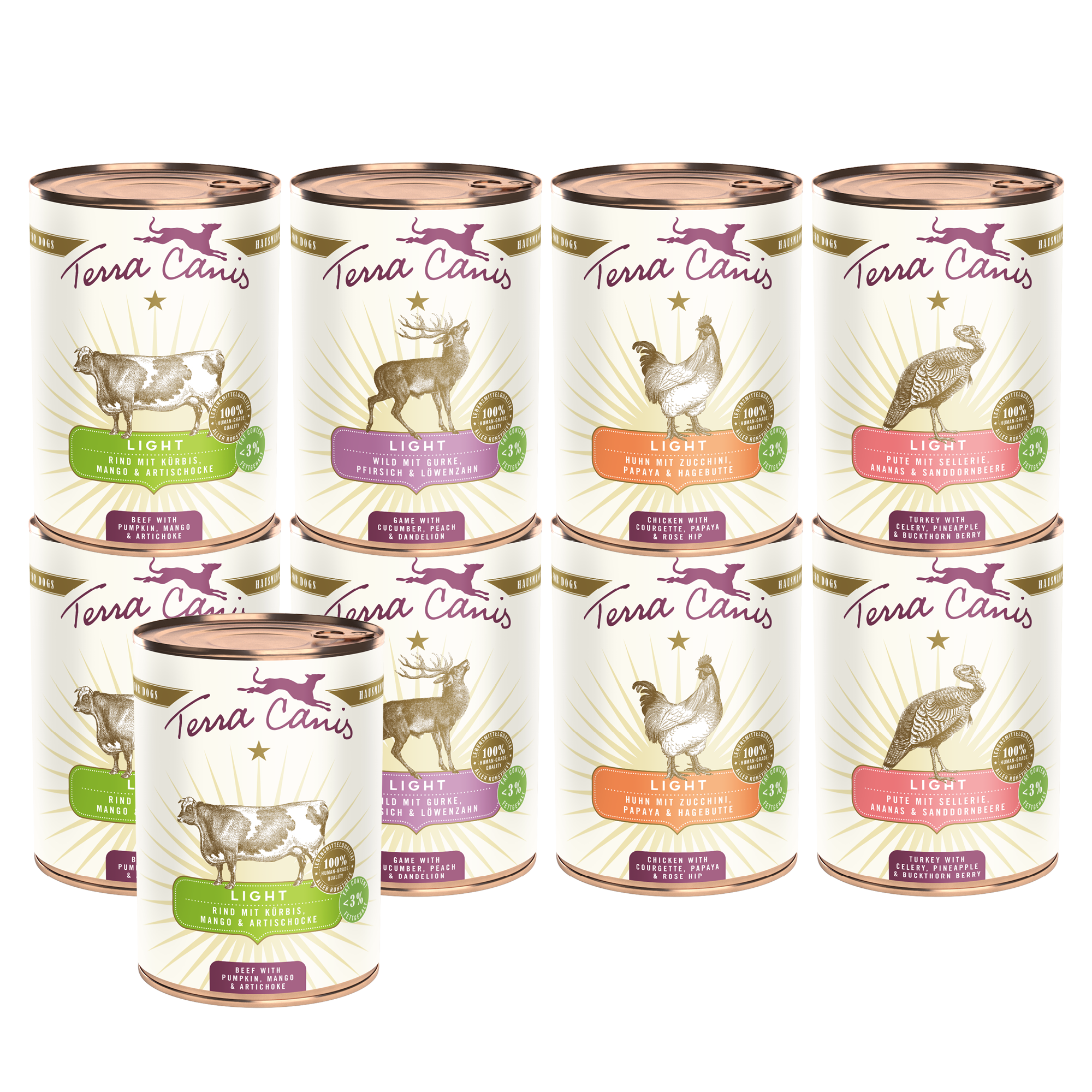 Introductory package L