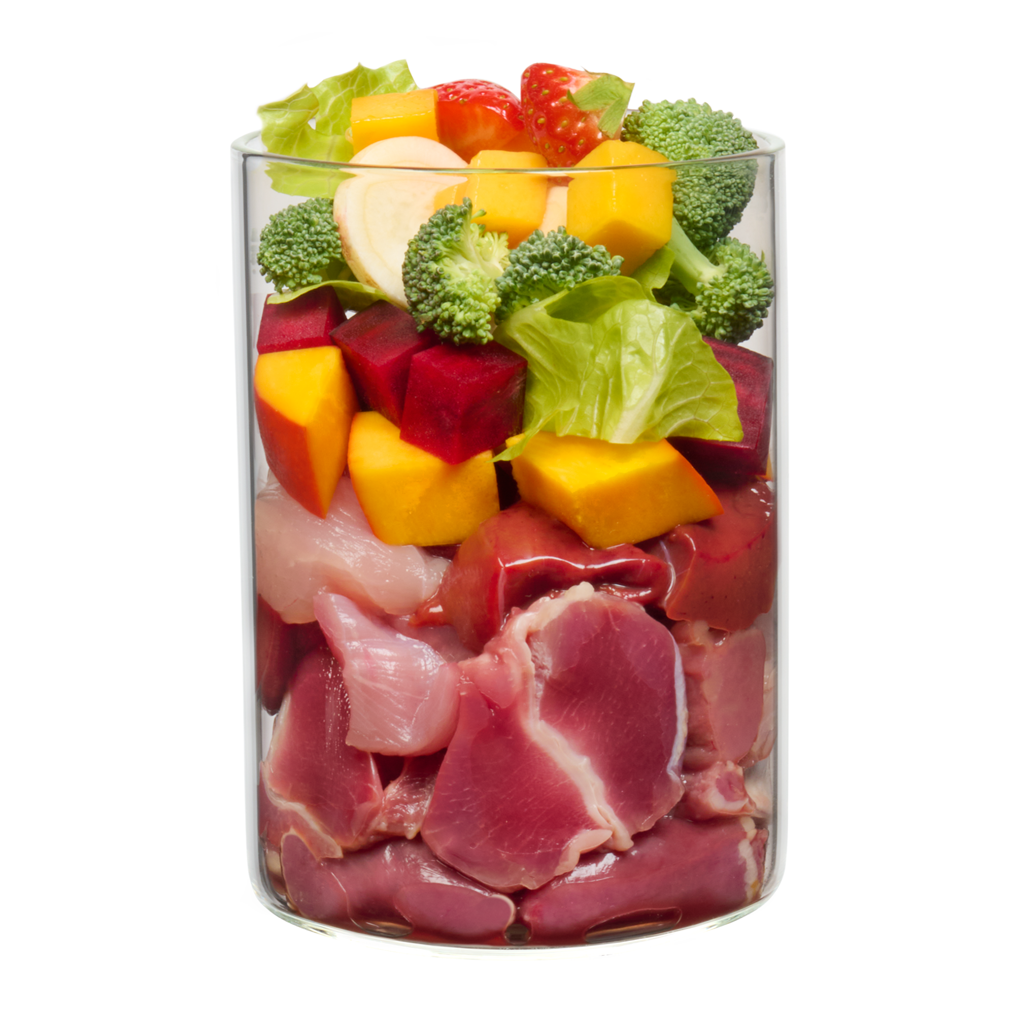 Superdog – Huhn mit roter Bete, Mango und Superfoods