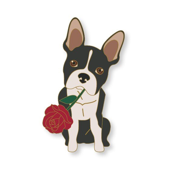 Pin frz. Bulldogge