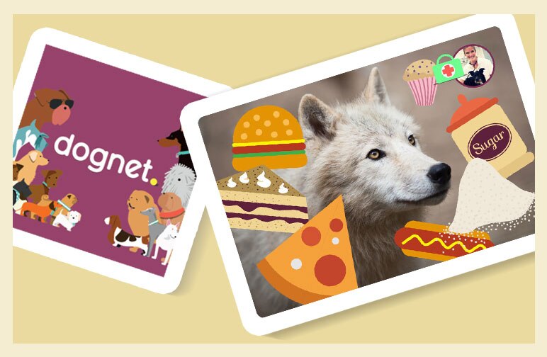 Fast Food für den Vierbeiner: Wie erkenne ich ein gutes Tierfutter?
