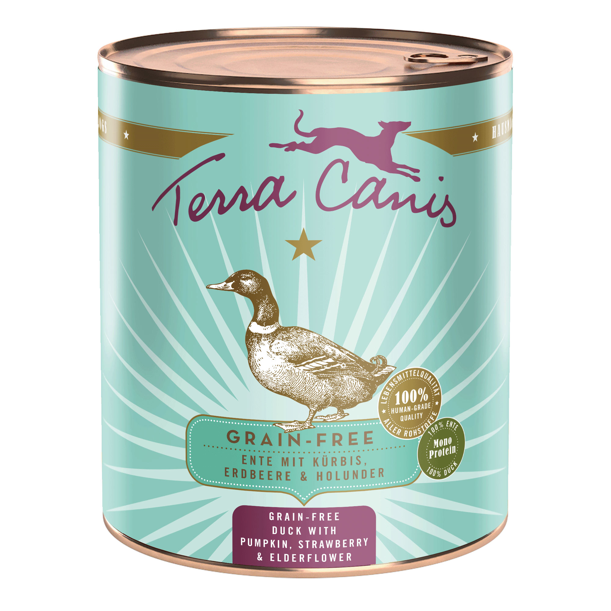 Ente mit Kürbis, Erdbeere und Holunder 