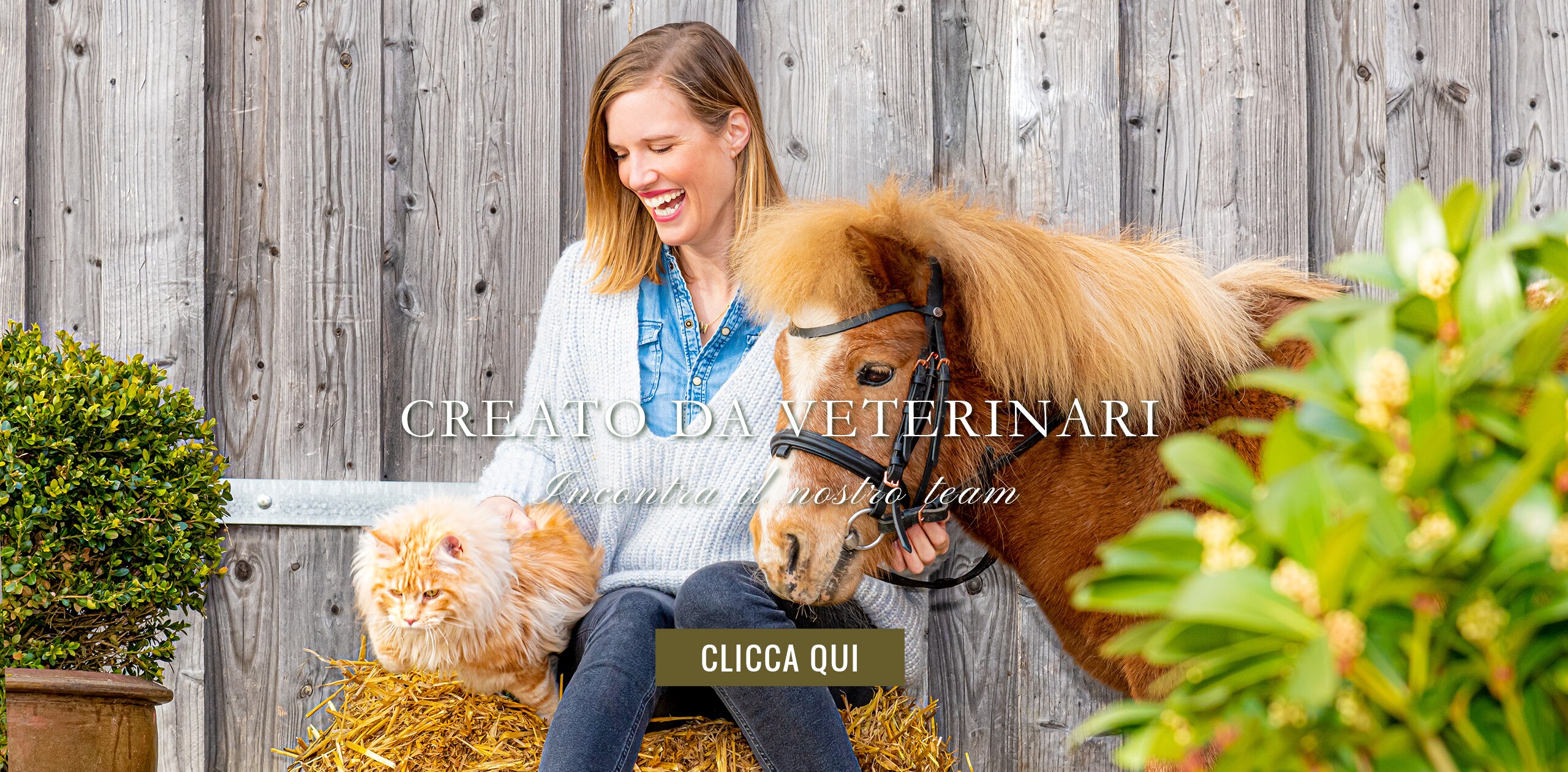 Il Team Di Esperti Veterinaria Hanna Stephan