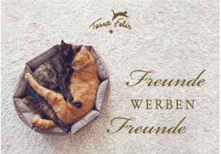TF_Flyer_Freunde werben Freunde_DE