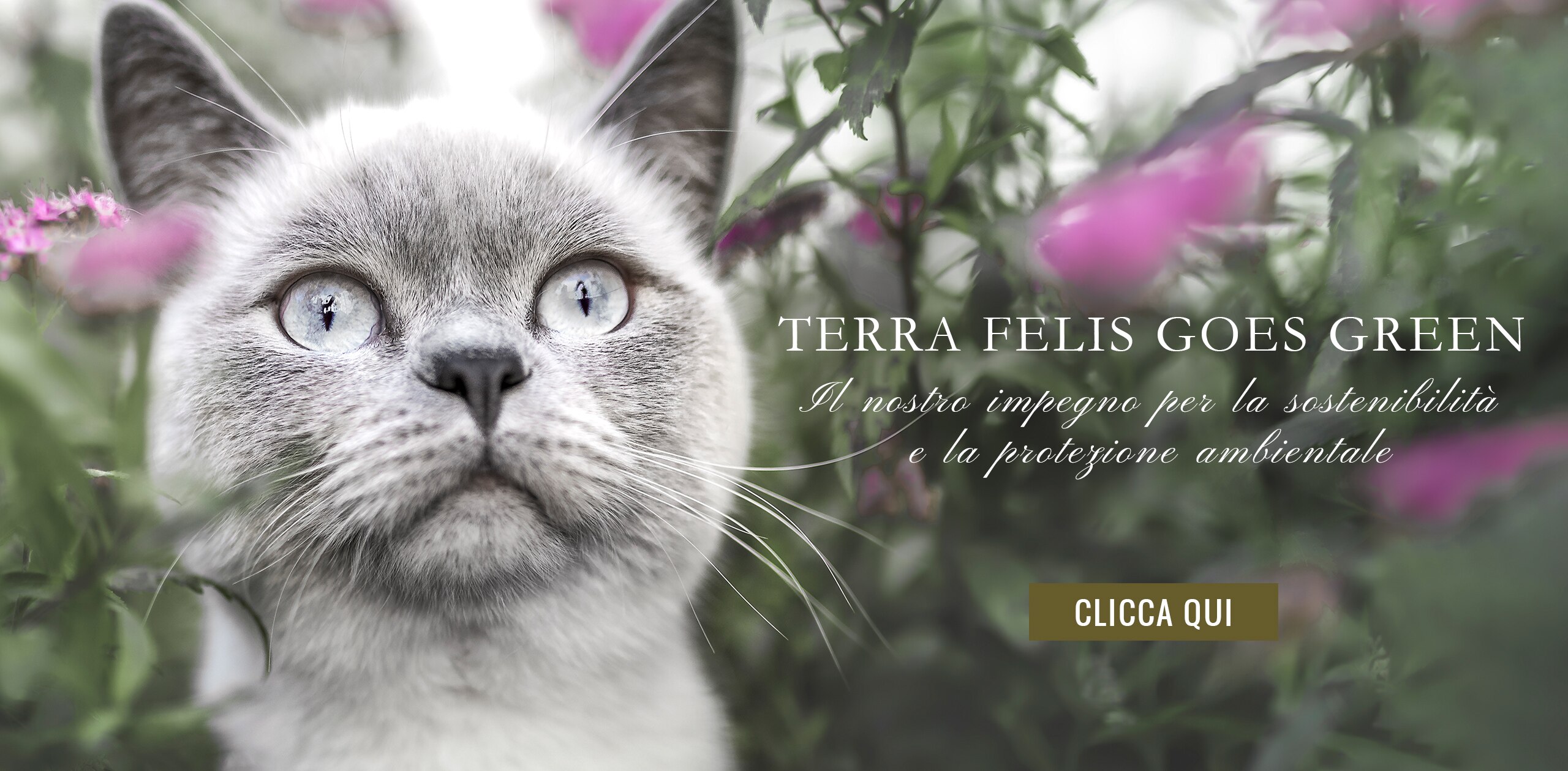 Su Di Noi Terra Felis Goes Green