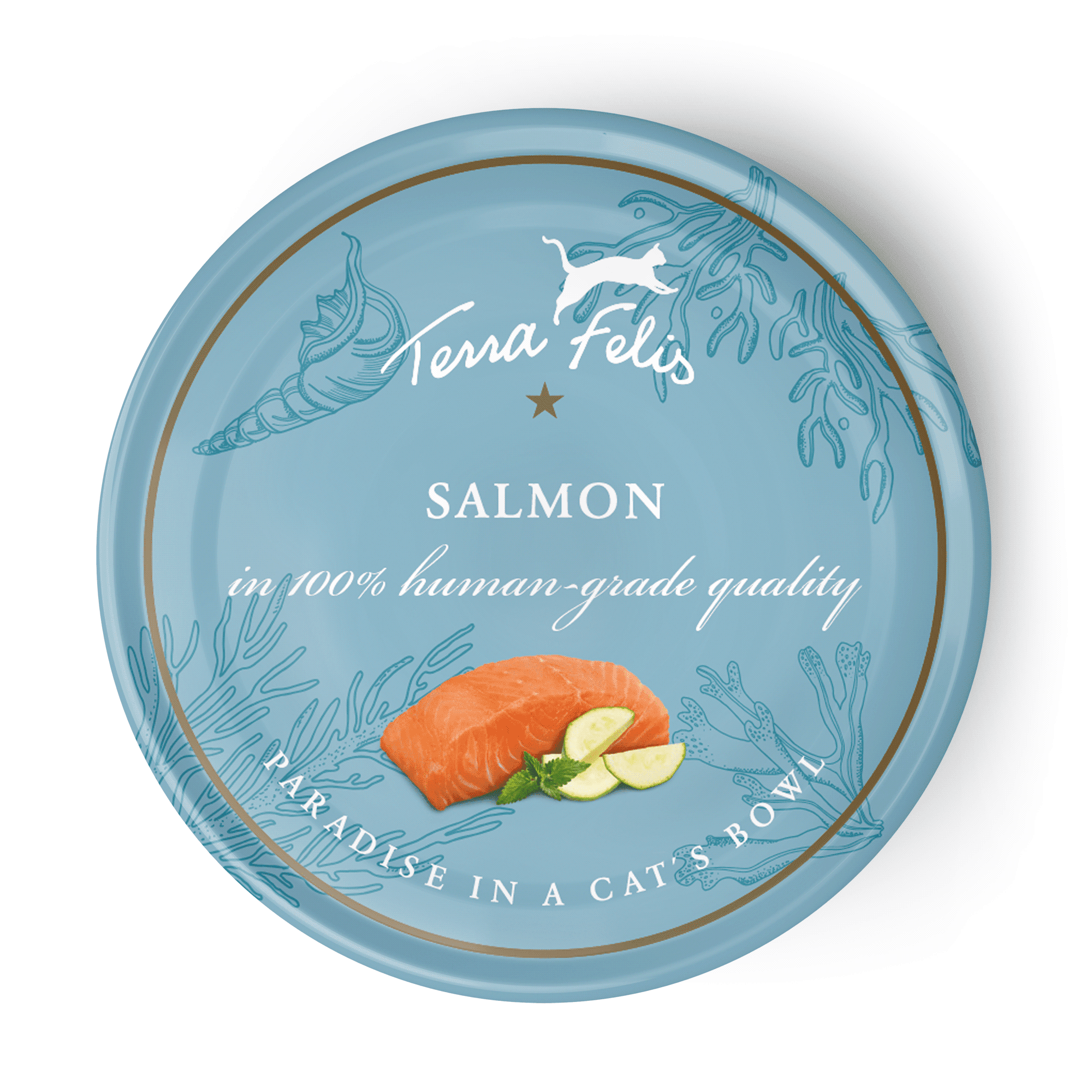 Salmon
