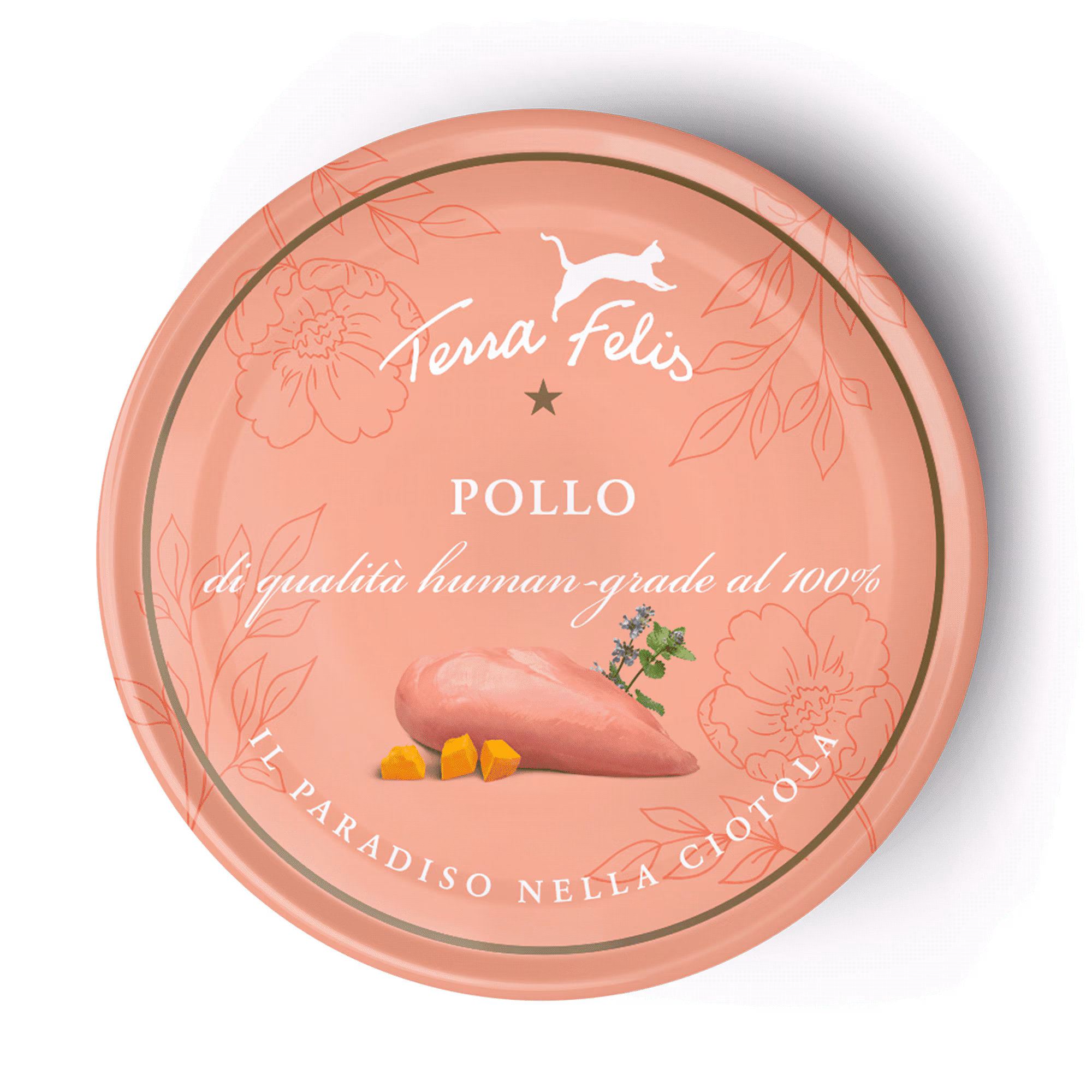 Pollo