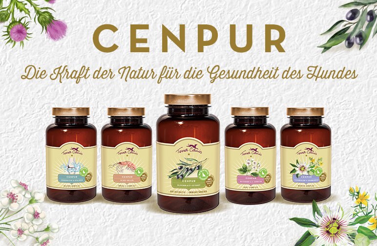 Olivenblattextrakt für Hunde - antioxidativ und immunstärkend