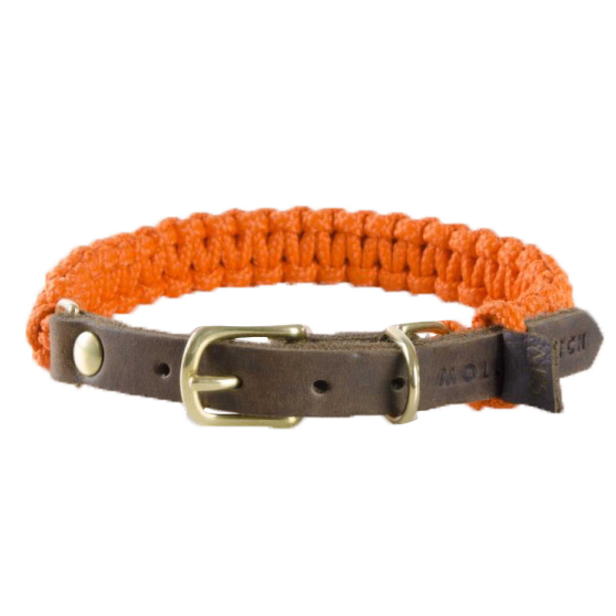 Collar - Pumpkin