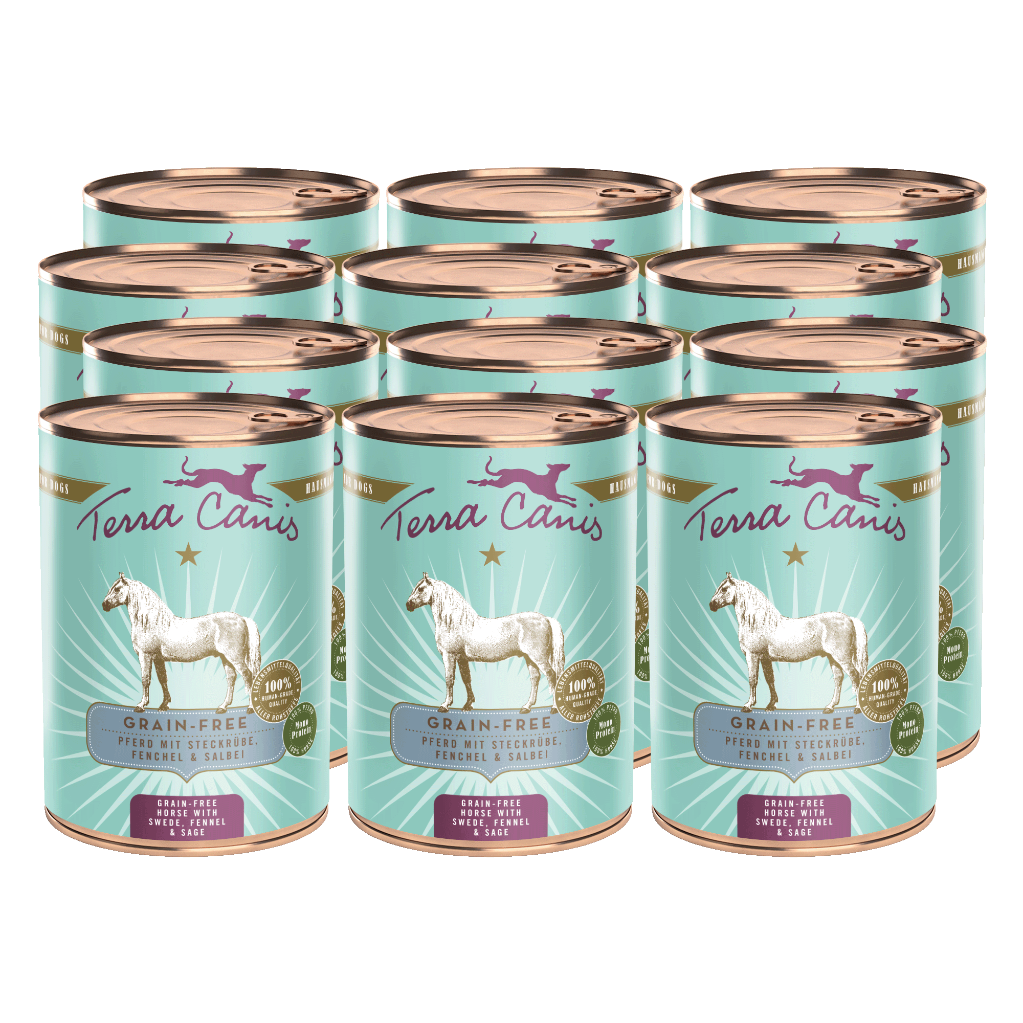 Pferd mit Steckrübe, Fenchel und Salbei