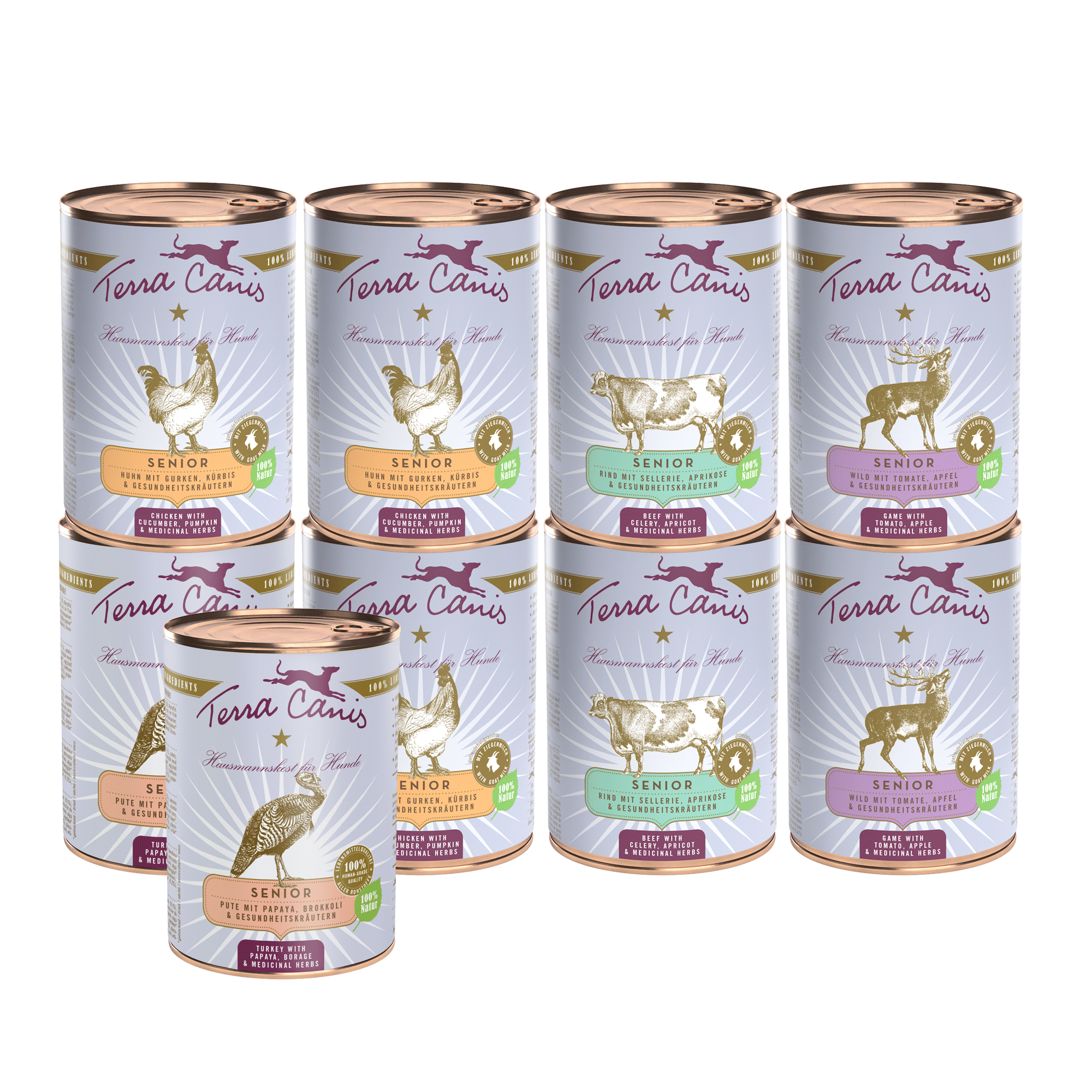 Kennenlernpaket L