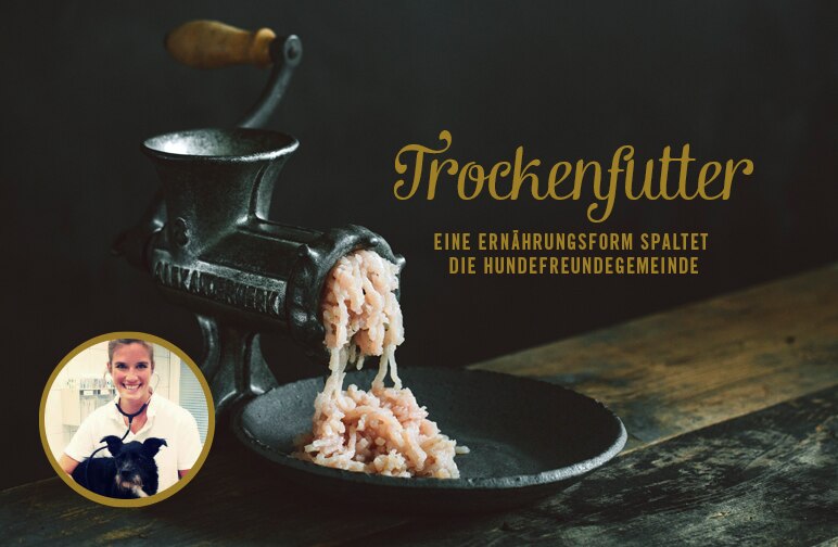 Trockenfutter - eine Ernährungsform spaltet die Hundefreundegemeinde