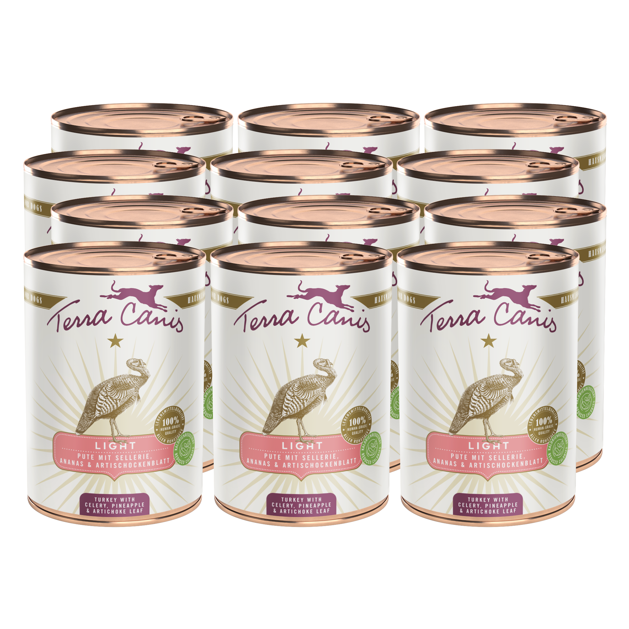 Turkey with celery, pineapple and buckthorn berry