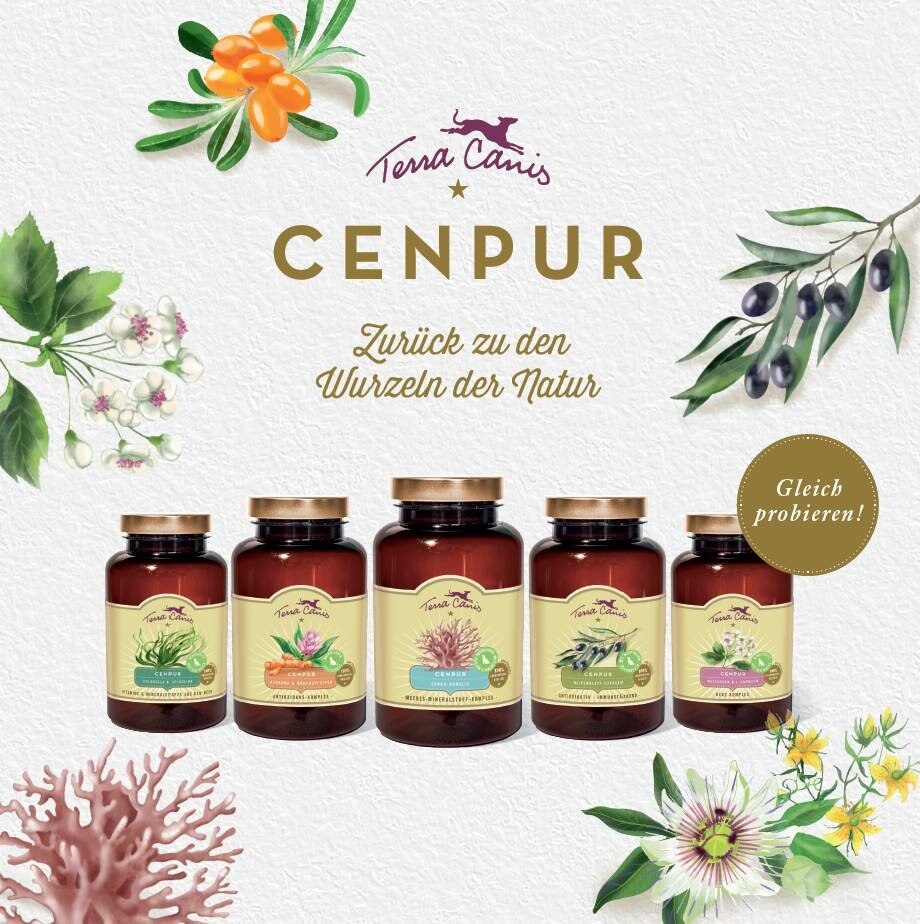 TC DE Flyer Cenpur Endkunde 21x 21