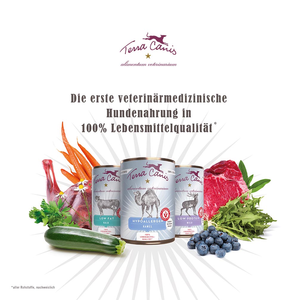 AliVet Ausschlussdiät-Flyer, englische Version