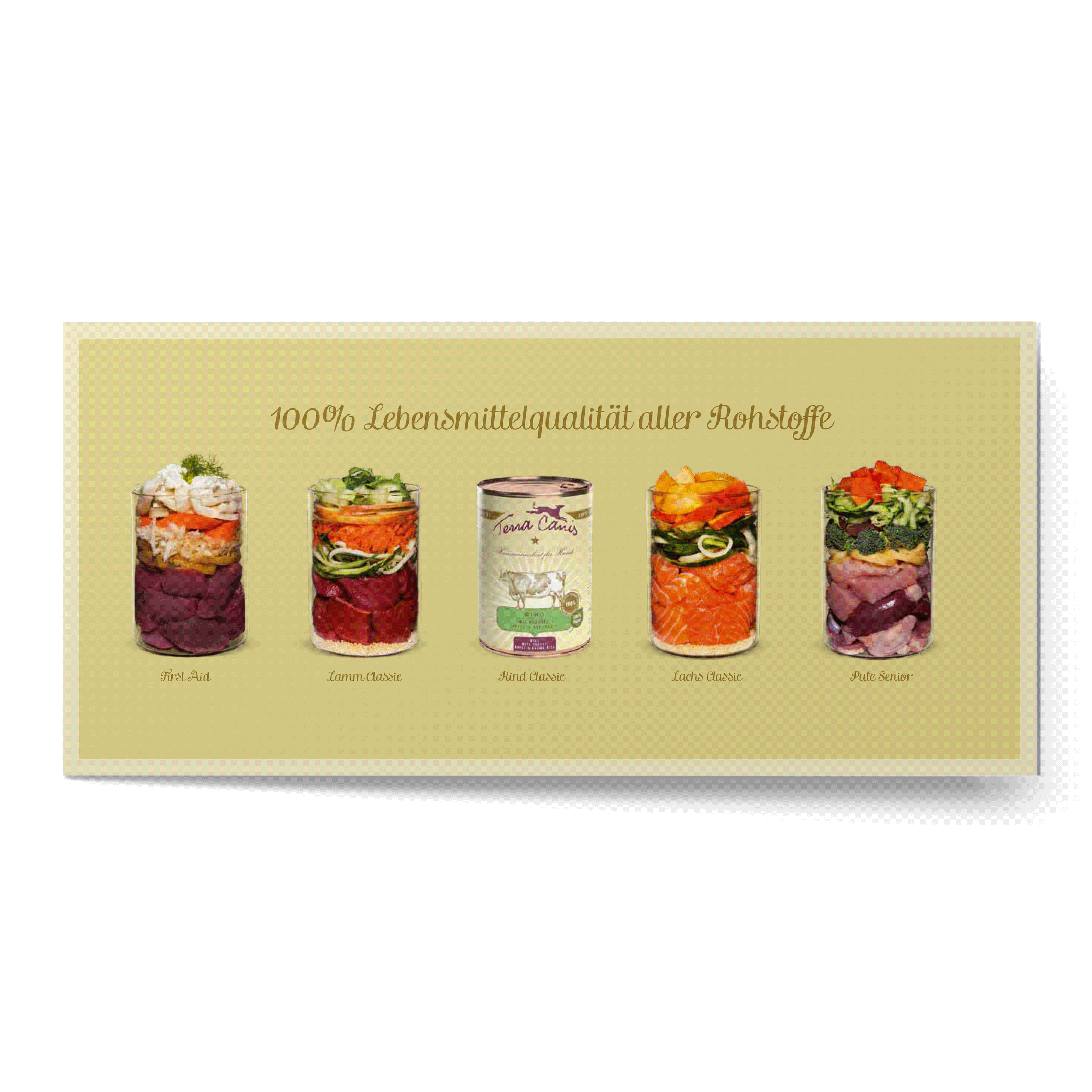 TC Insight flyer, german version