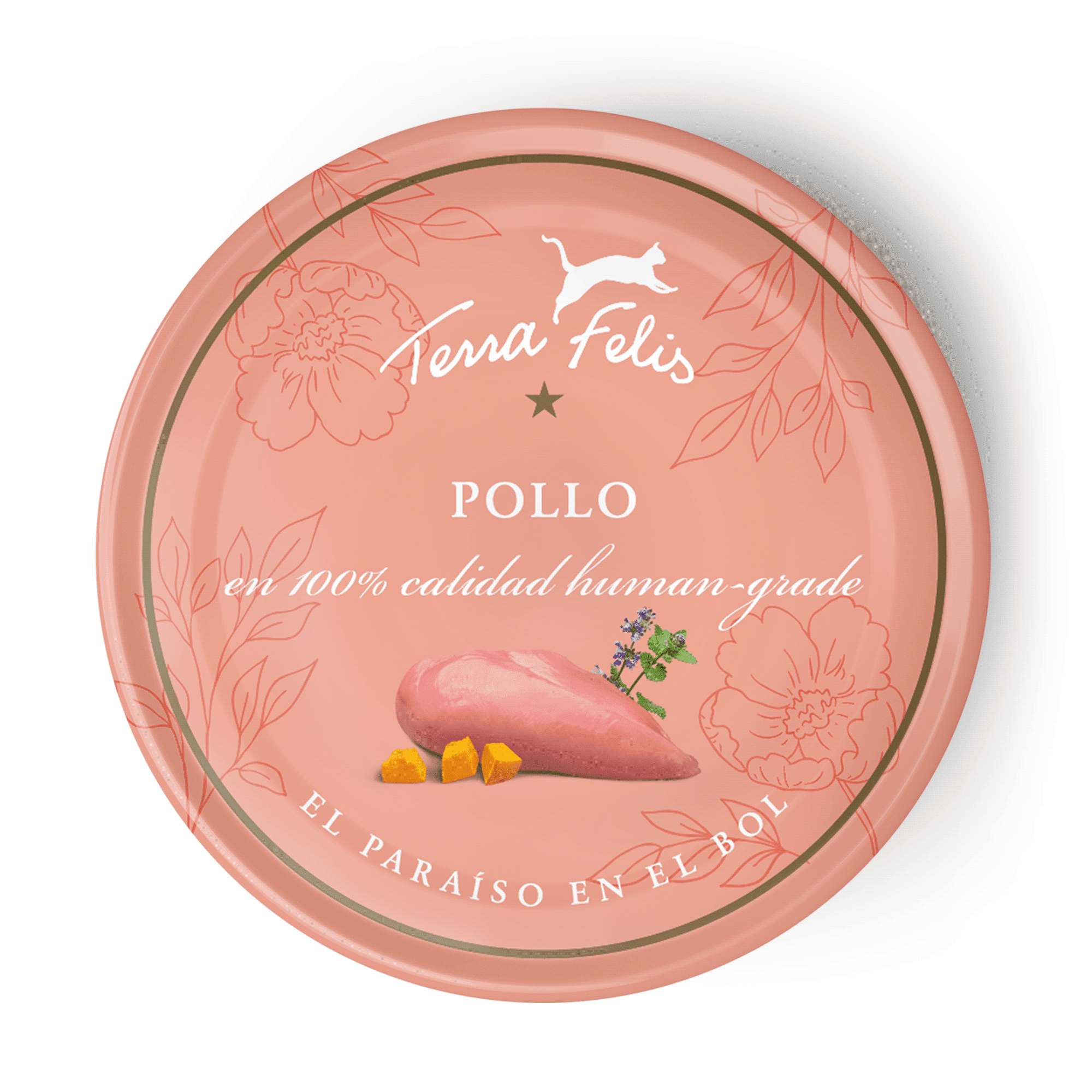 Pollo
