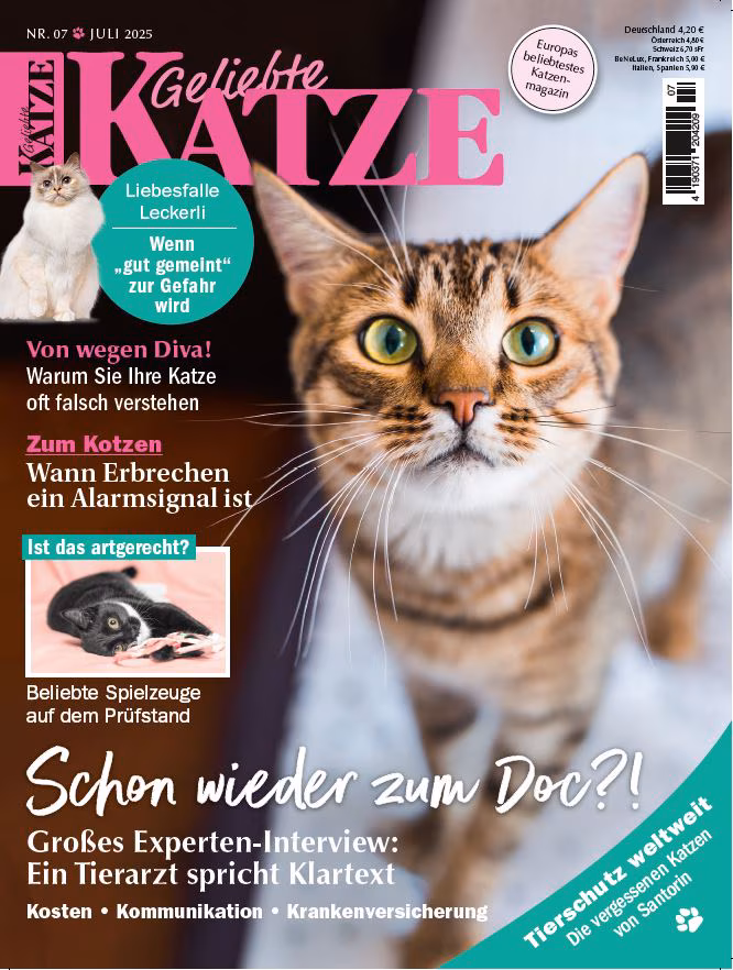 Geliebte Katze, Deutschland