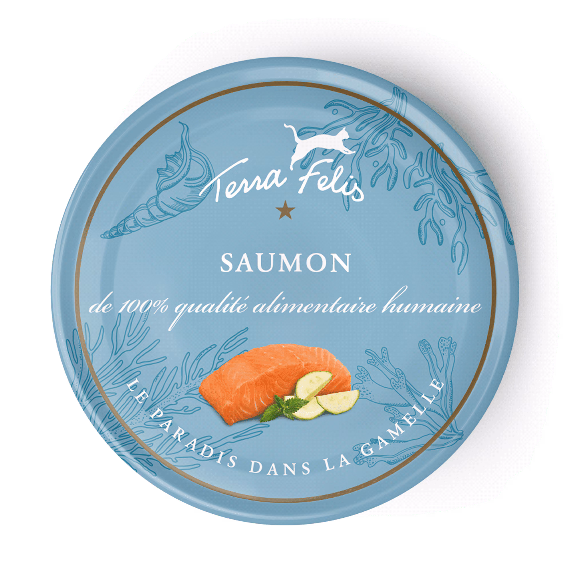 Saumon