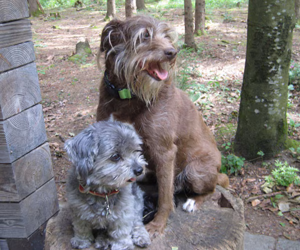 Schnipsi & Rubby
