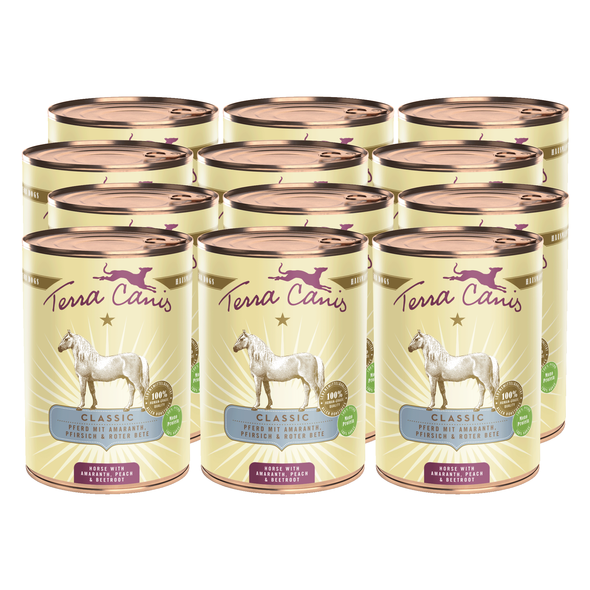 Pferd mit Amaranth, Pfirsich und Roter Bete 