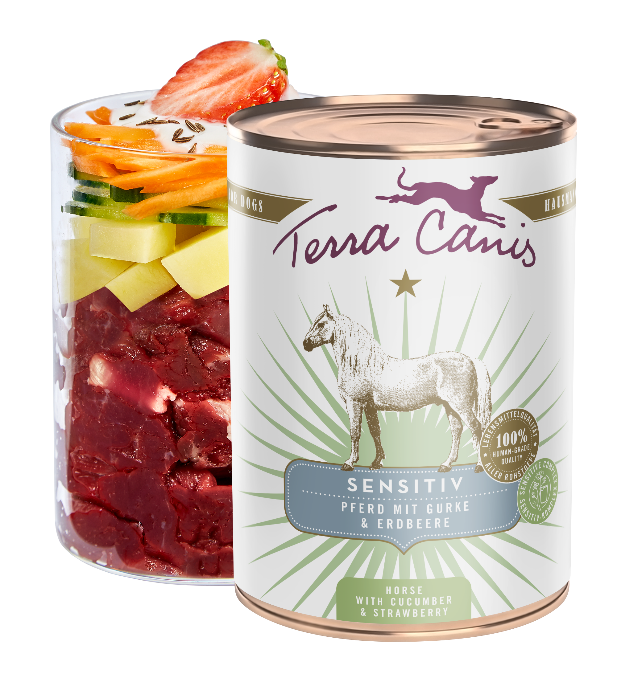 Horse with cucumber and strawberry
