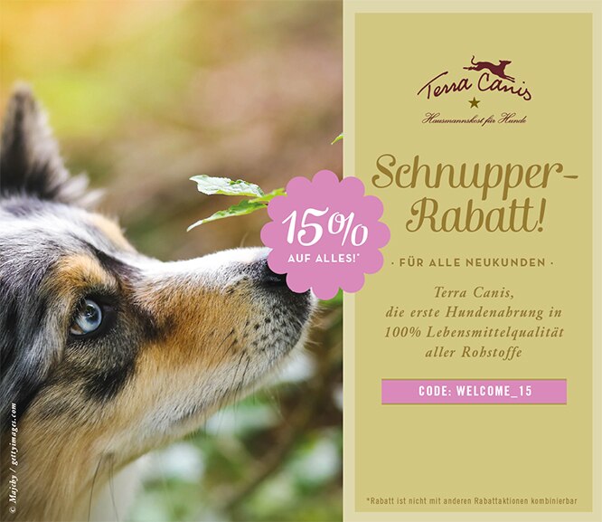 TC_Flyer_Neukundenrabatt