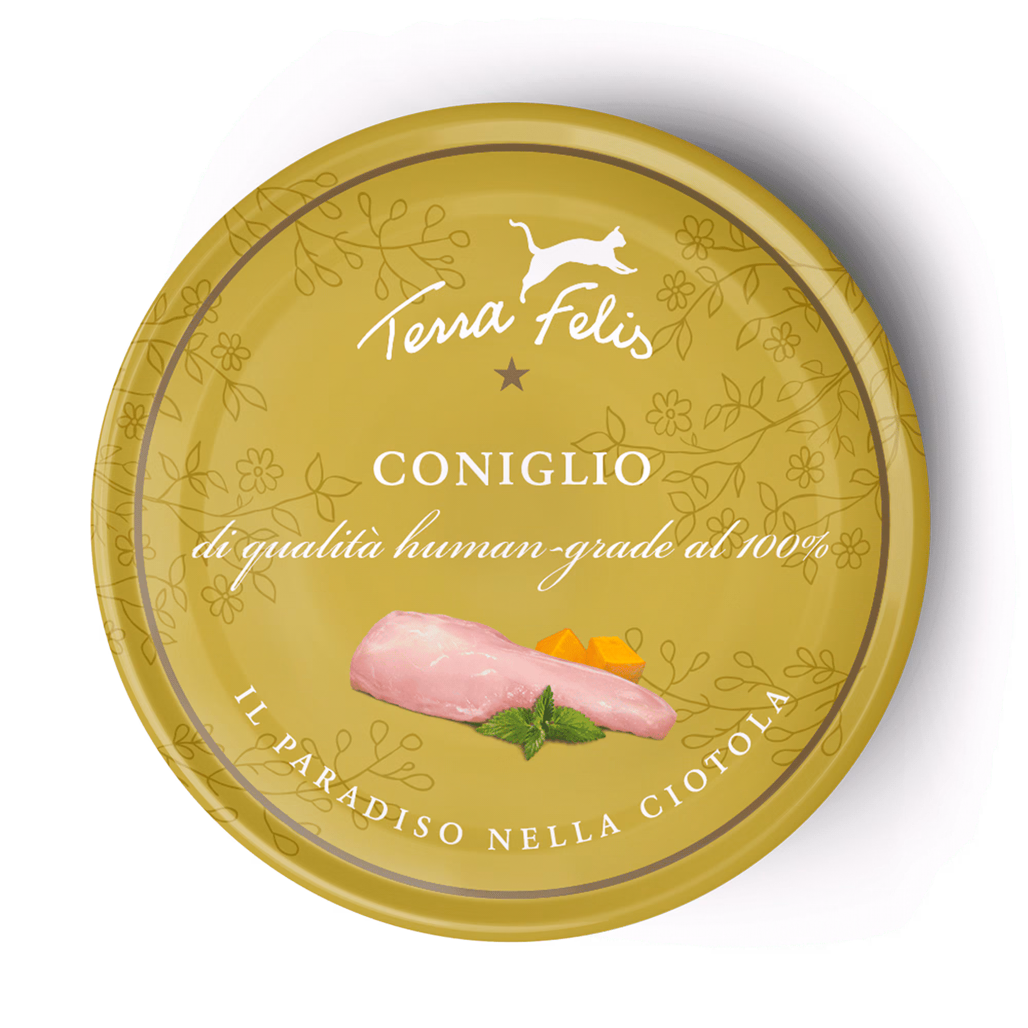 Conejo