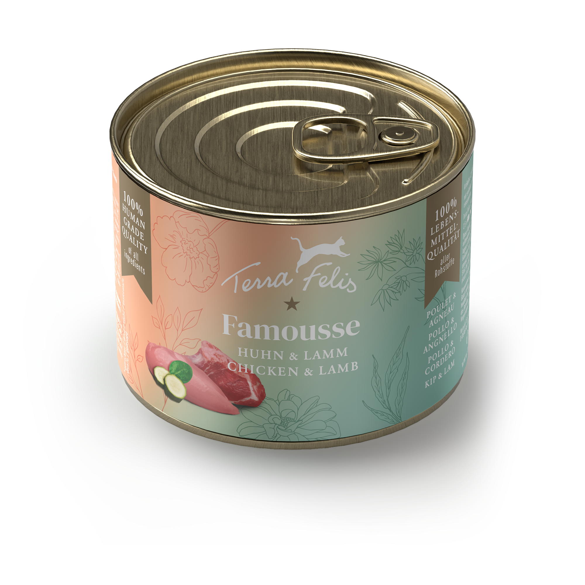 Terra Felis Famousse Chicken & Lamb