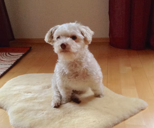 Benny