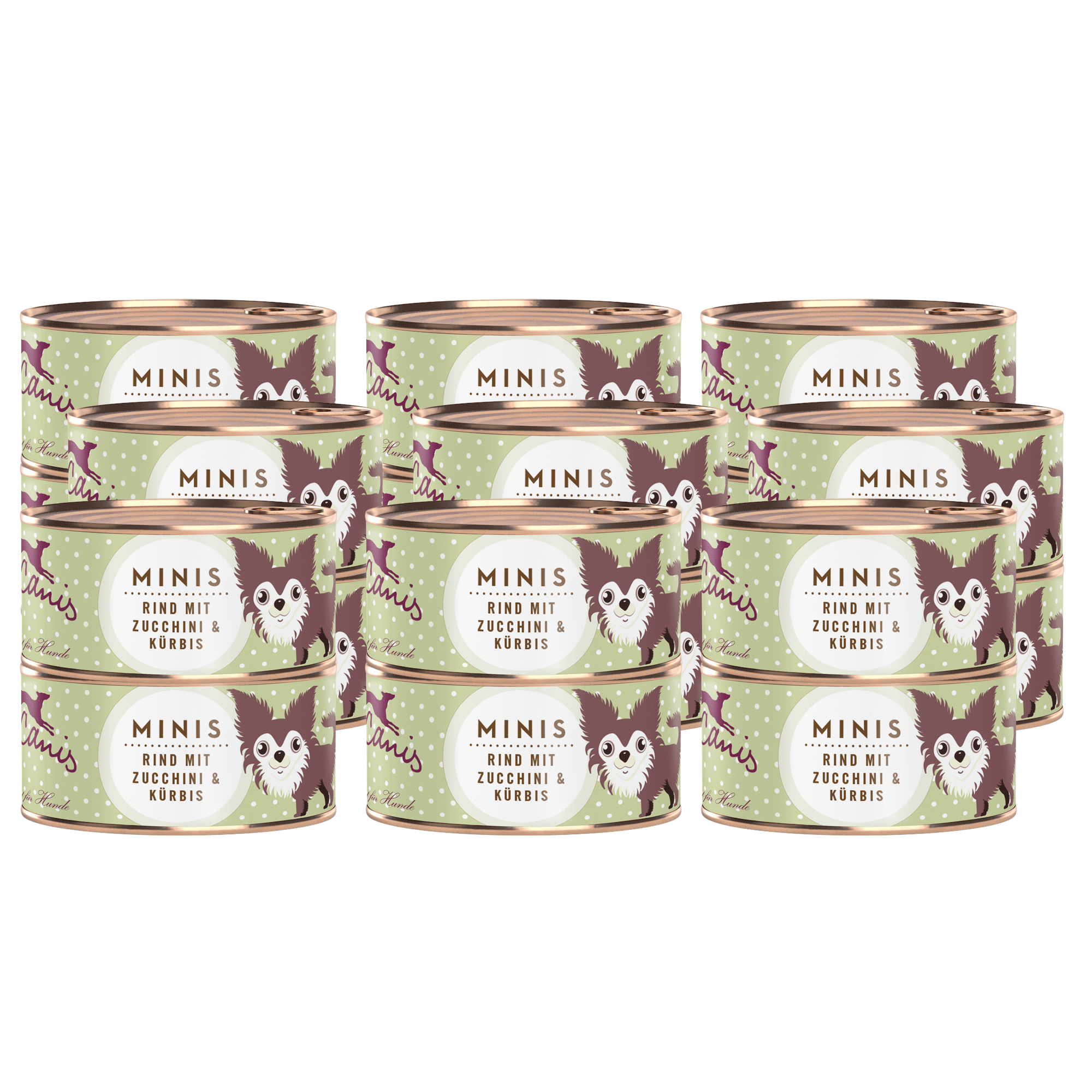 Rind mit Zucchini und Kürbis