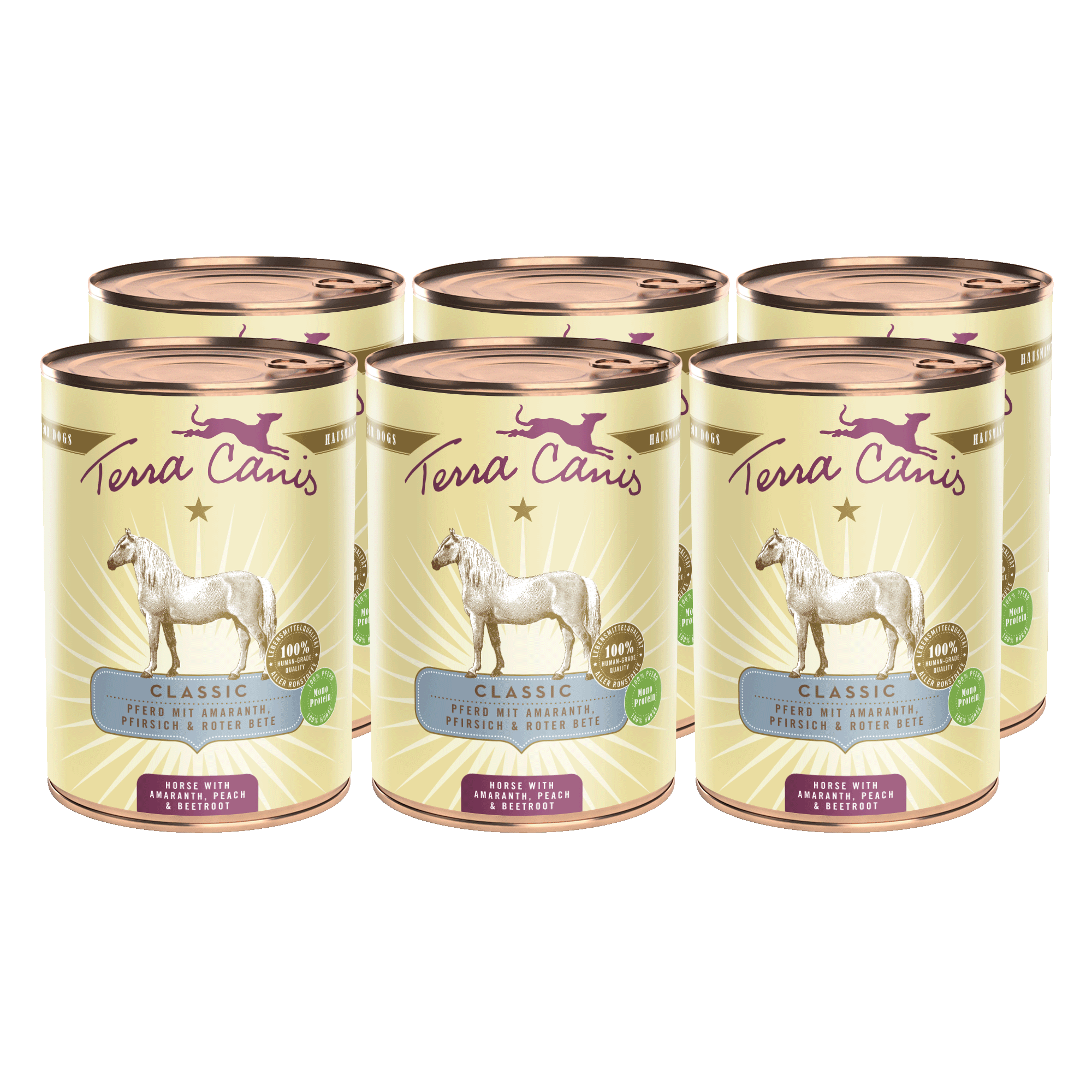Pferd mit Amaranth, Pfirsich und Roter Bete 