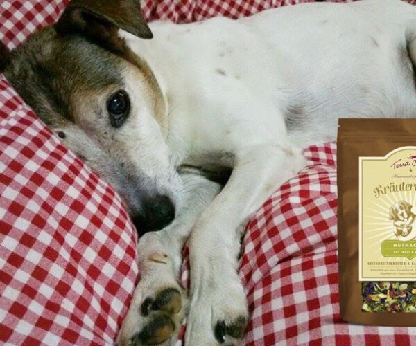 Jack
