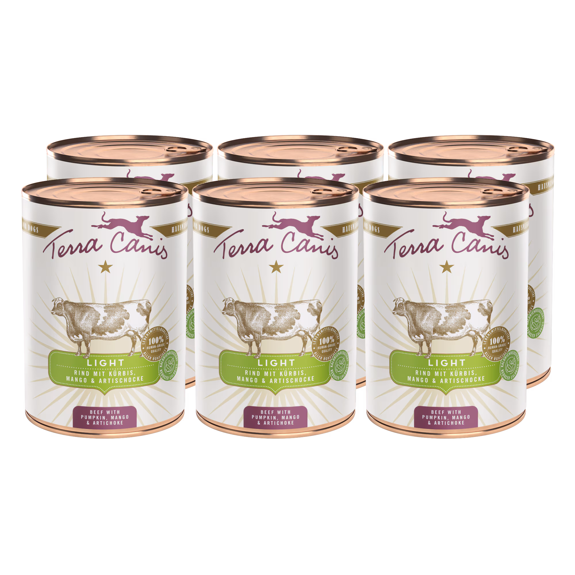 Rind mit Kürbis, Mango und Artischocke