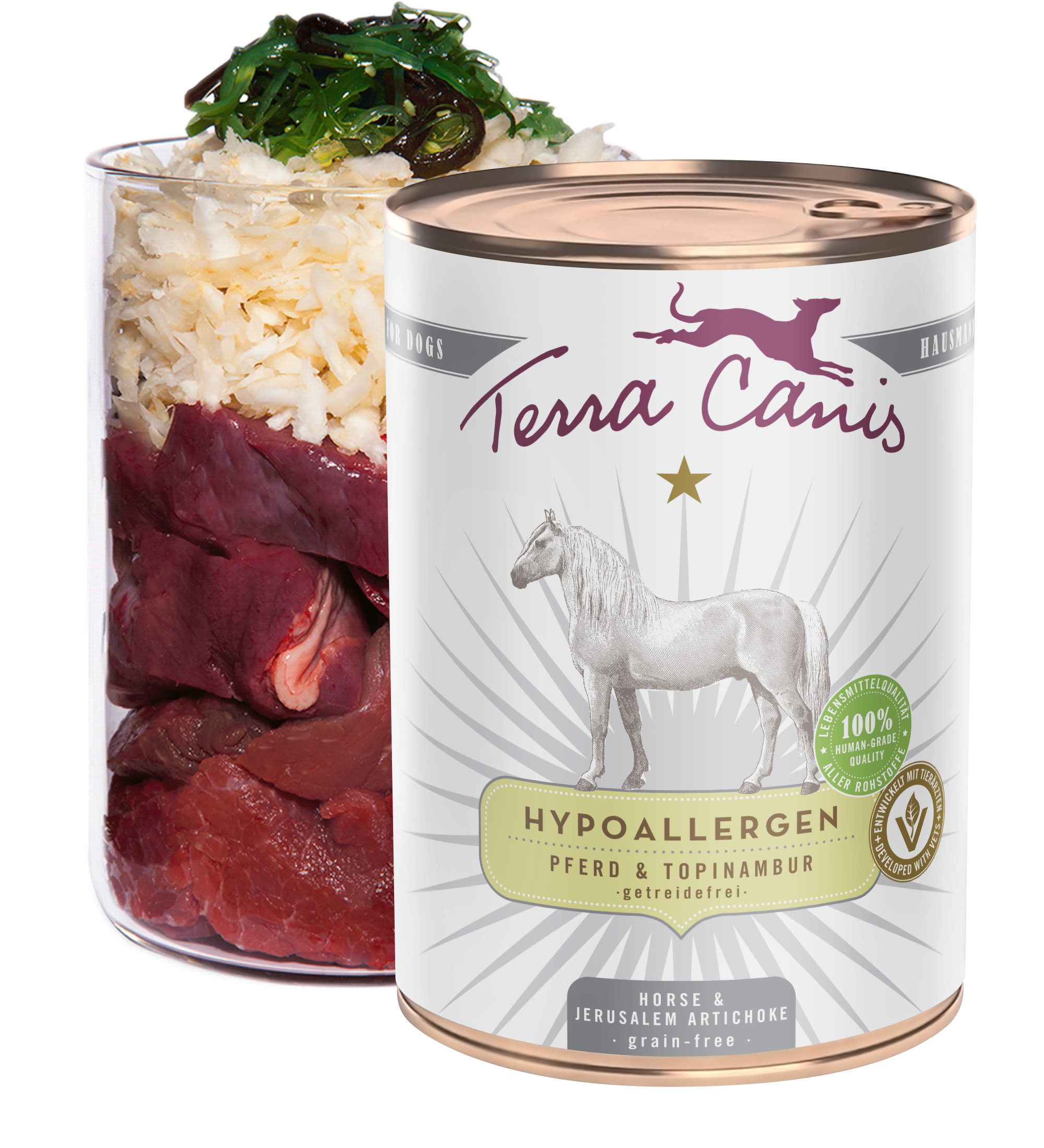 Horse with Jerusalem artichoke