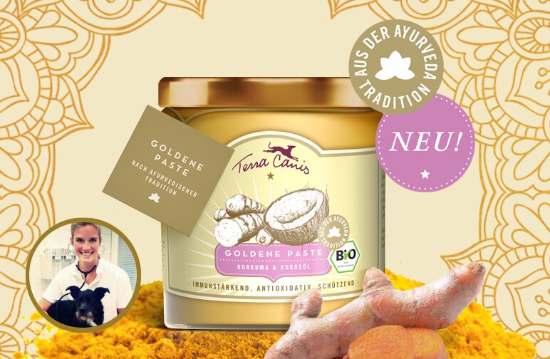 Die goldene Paste - Kurkuma & Kokosöl